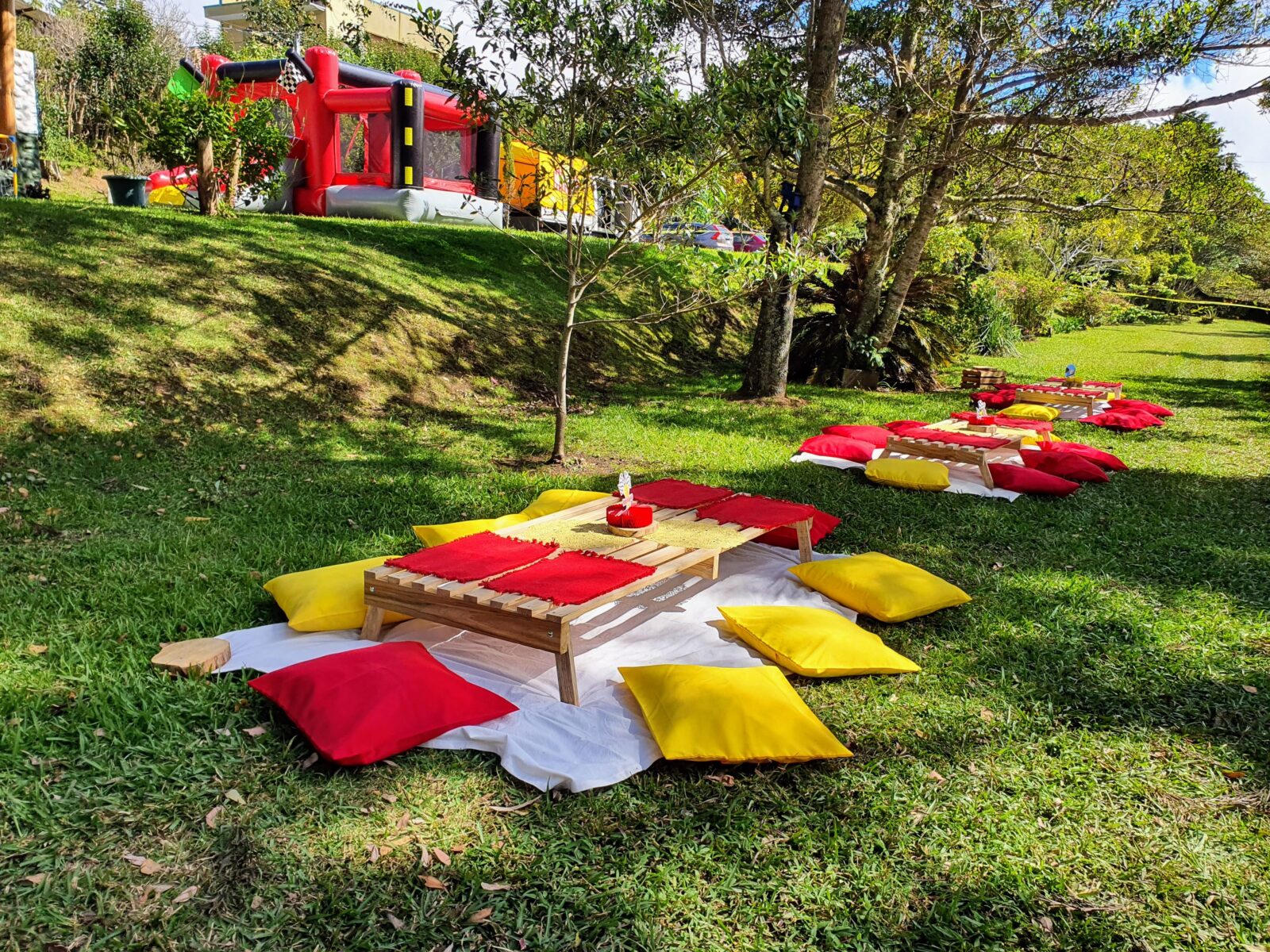 Picnic